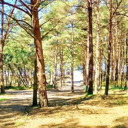 Semesterbostad Vista Morze-jezioro-rzeka-las