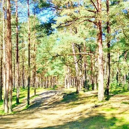 Vista Morze-jezioro-rzeka-las Semesterbostad *